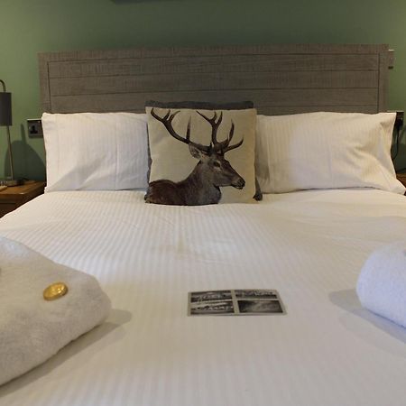 Bed and Breakfast The White Lion à Ventnor Extérieur photo
